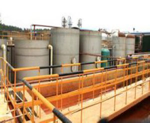 �|��ĳ��ȩ��(sh��)֬�Uˮ̎���F(xi��n)��(ch��ng)